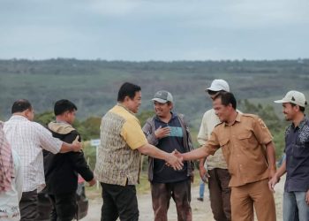 Bupati Dairi meninjau Parbuluan V unguk melihat perkembangan tanaman cabe di kawasan pertanian terpadu hasil kerjasama dengan Pemko Medan. (Nawasenanews/ Ist)