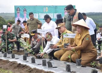 Gubernur Sumut, Kapolda Sumut dan Bupati Dairi saat penanaman komiditas cabai di Kawasan Pertanian Terpadu di Parbuluan V beberapa waktu lalu. (Nawasenanews/ Ist)