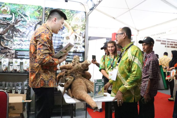 Wakil Bupati didampingi Kabag Perekonomian Agustina Simanjorang dan pengurus KTNA meninjau stand pameran yang berada di lokasi panggung utama. ( Nawasenanews/Ist)