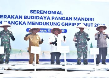 Wakil bupati dan Forkopimda menanam bibit cabai sebagai bagian dari acara seremonial Gerakan Budidaya Pangan Mandiri 2023 untuk mengatasi inflasi pangan.( Nawasenanrpews/ Ist)