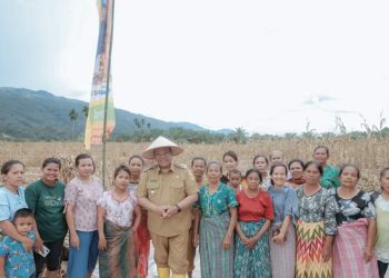 Bupati Dairi bersama ibu ibu petani jagung yang tergabung dalam kelompok tani di desa Rante Besi Gunung Sitember.( Nawasenanews/ Ist)