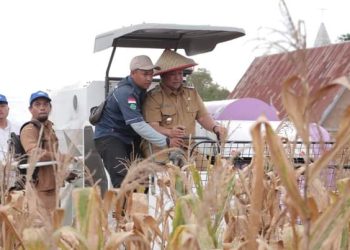 Bupati Dairi Dr Eddy Keleng Ate Berutu pada Acara Panen Perdana Jagung Menggunakan Mesin Combine Harvester Besar Multiguna (CHB Multiguna) di Desa Rante Besi, Kecamatan Gunung Sitember, Senin (12/6/2023).( Nawasenanews/ Ist)