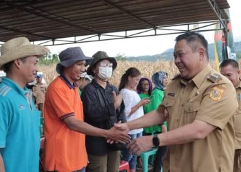 Gapoktan Arih Ersada berterima kasih kepada Bupati Dairi atas pemberian bantuan alsintan alat panen jagung yang praktis dengan nama Mesin Combine Havester Besar Multiguna (CHB multiguna) seharga Rp427 juta. ( Nawasenanews/ Ist)