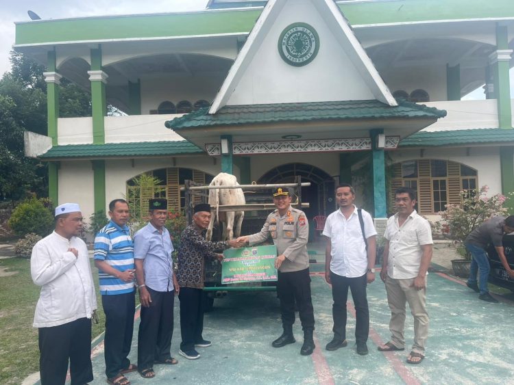 Kapolres Simalungun menyerahkan hewan sapi sebagai bantuan kurban menyambut Idul Adha sekaligus HUT Bhayangkara ke 77 yang diterima oleh ketua MUI. ( Nawasenanews/ Ist)
