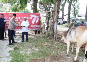 Kapolres Simalungun memegang tali lembu yang menjadi salah satu hewan kurban Polres Simalungun pada Hari Raya Idul Adha 1444 H/ 2023 M. ( Nawasenanews/ Ist)