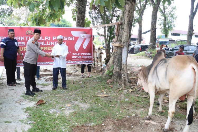 Kapolres Simalungun memegang tali lembu yang menjadi salah satu hewan kurban Polres Simalungun pada Hari Raya Idul Adha 1444 H/ 2023 M. ( Nawasenanews/ Ist)