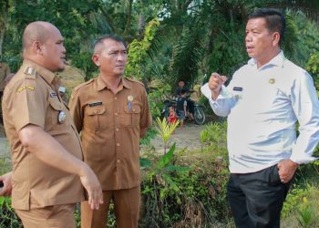 Bupati Simalungun memberikan arahan kepada Kadis Lingkungan Hidup Daniel Silalahi dan Camat Bandar Tagon Sihotang di lokasi Perkebunan PT Lonsum Bah Lias. ( Nawasenanews.com/ Ist)