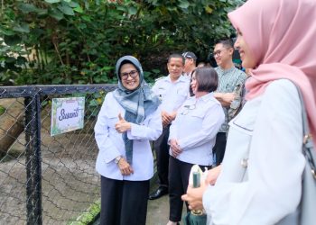 Wali Kota Pematang Siantar tersenyum senang usai dirinya menempelkan nama depannya sebagai nama pemberian kepada binatang langka Tapir Asia yang ada di Taman Hewan Pematang Siantar tersebut. ( Nawasenanews.com/ Ist)