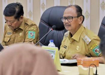 Keterangan Foto : Wakil Bupati saat rapat koordinasi tentang penurunan stunting didampingi Kadis PPKB Gimrod Sinaga.( Ist)