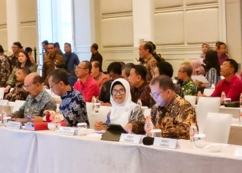 Keterangan Foto : dr Susanti saat rapat koordinasi lintas sektor dengan Kementerian ATR/ BPN di Jakarta.(Ist)