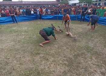 Para warga binaan yang merupakan peserta tangkap bebek dengan mata tertutup berusaha menangkap kembali hewan tersebut saat ngabuburit di halaman Lapas Kelas IIA Pematangsiantar. ( Nawasenanews/Ist)