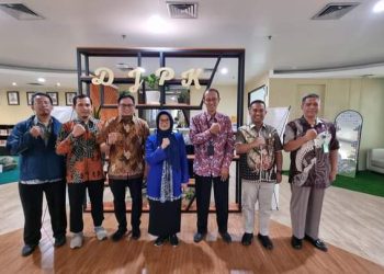 dr Susanti saat berkonsultasi dengan Dirjen Perimbangan Keuangan daerah Kementerian Keuangan.(Nawasenanews/ Ist)