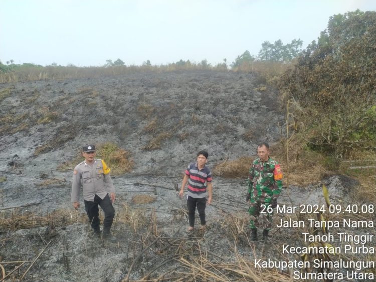 Bhabinkamtibmas Polsek Purba,Bhabinsa dan Gamot turun mengecek kondisi lahan seluas 15 rante yang dibakar dengan sengaja untuk membuka ladang. ( Nawasenanews/ Ist)