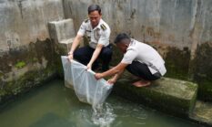 Dari Lapas untuk Ketahanan Pangan: Panen 300 Kg Kangkung Hidroponik dan Pelepasan 10.000 Bibit Ikan Nila Perkuat Pembinaan Kemandirian